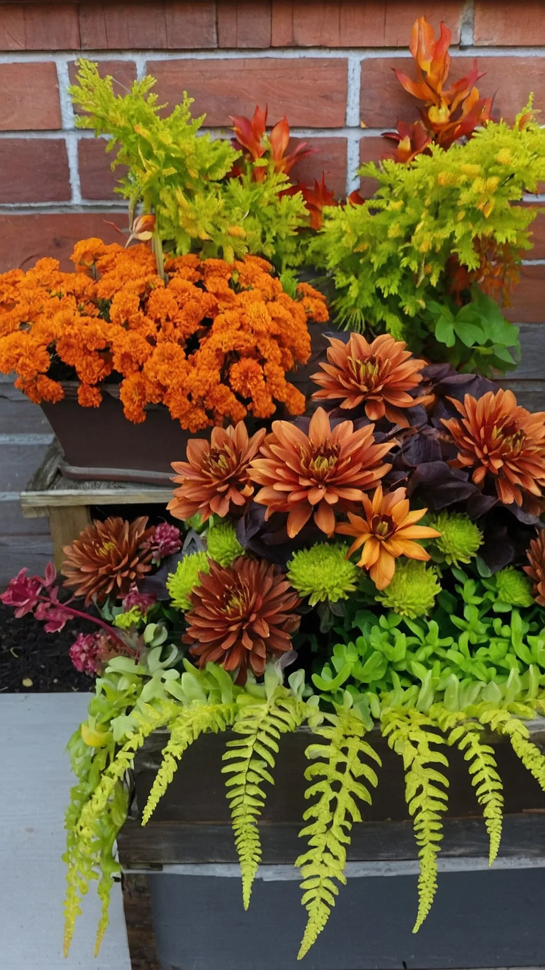 Stylish Fall Gardening Tips to Enhance Your Outdoor Aesthetic