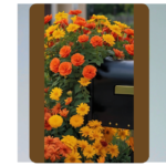 Blooming Mailbox Magic: 15 Creative Flower Bed Ideas for Every Home