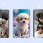 Pawsitively Adorable: Teacup Puppies Captivating Hearts Everywhere