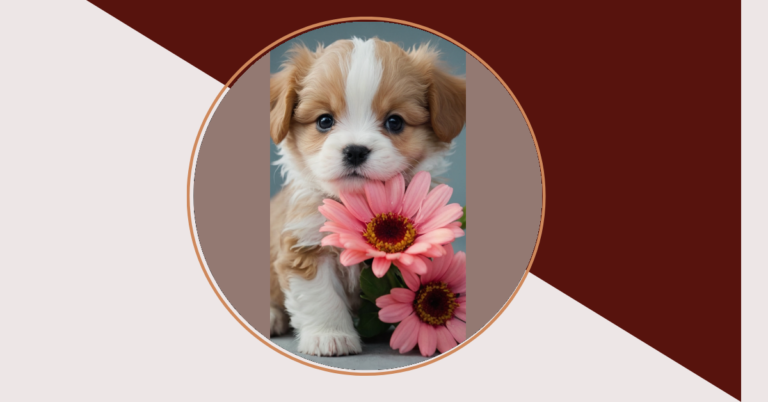 The Pint-Sized Charm of Teacup Puppies: A Heartwarming Tale