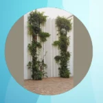 Enhance Your Home’s Curb Appeal: 15 Creative Exterior Wall Design Ideas