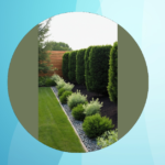 15 Creative Fence Line Landscaping Ideas to Upgrade Your Outdoor Space