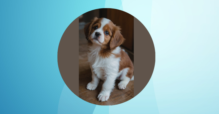 Cute Puppy PFP Ideas: 15 Irresistibly Charming Canine Portraits to Elevate Your Profile