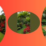 Tropical Oasis: 15 Stunning Landscaping Ideas to Transform Your Outdoor Space