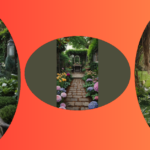 Whispers of Nature: 15 My Secret Garden Ideas Blossoming with Beauty