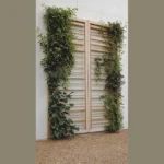 Unleash Your Creativity: 15 Unique Exterior Wall Design Ideas for Your Home