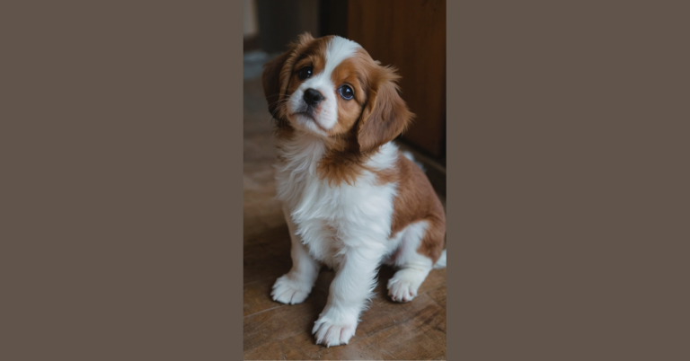 Discover 15 Lovely Puppy Breeds That Will Steal Your Heart