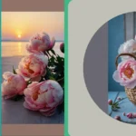 Blooming Beauties: 15 Peony Wallpaper Ideas for Every Device