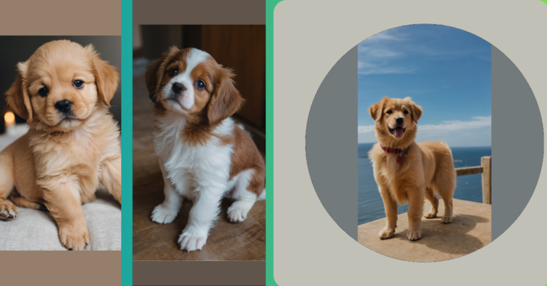 15 Very Playful Puppy Drawing Ideas to Spark Your Creativity