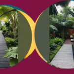 Tropical Escape: 15 Backyard Ideas to Create Your Own Aussie Paradise