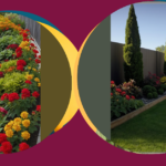 Creating Privacy and Beauty: 15 Easy Fence Line Landscaping Ideas