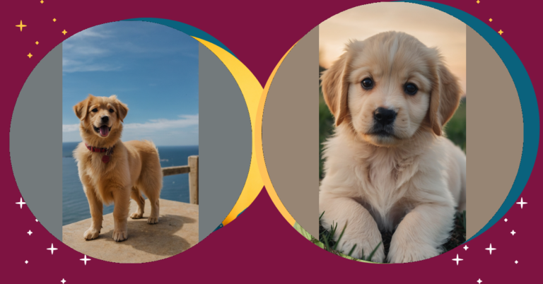 Puppy Love Galore: 15 Adorable Ideas for Your Next Pup Companion