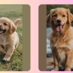 Pawsitively Adorable: 15 Cute Puppy Ideas to Brighten Your Day
