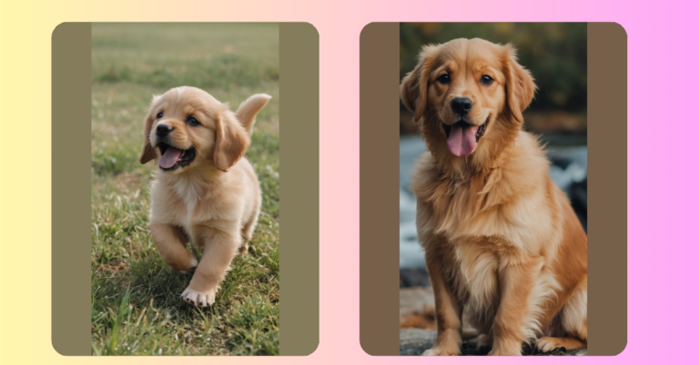 Pawsitively Adorable: 15 Cute Puppy Ideas to Brighten Your Day