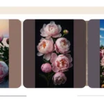 Blooms Beyond Borders: 15 Peony Wallpaper Ideas for Your Devices