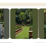 Lush Oasis for Every Space: 15 Front Tropical Garden Ideas