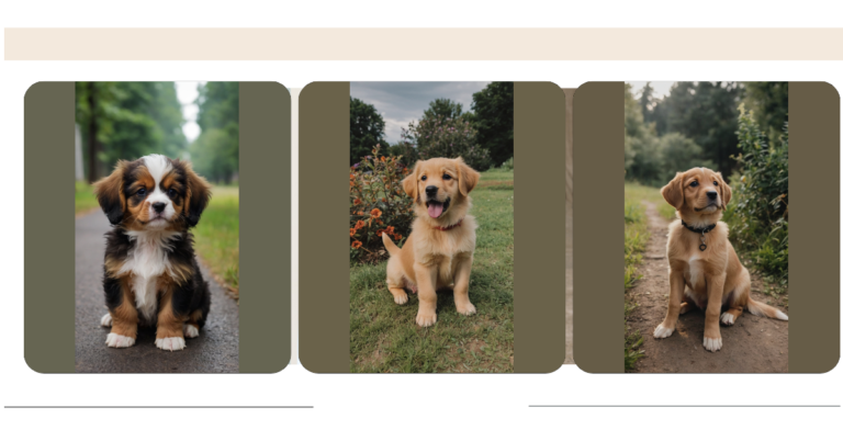 15 Adorably Snoozy Puppies for Your Wallpaper Dreams