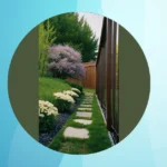15 Easy and Stunning Fence Line Landscaping Ideas for Privacy and Beauty