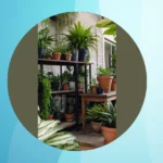 Green Dreams: Enhance Your Indoor Decor with 15 Aesthetic House Plants