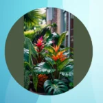 Tropical Plants Galore: Sizzling Full Sun Ideas for Your Outdoor Oasis