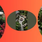 Breathe Easy: 15 Indoor Plants for Air-Purifying and Stylish Decor