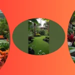 Transform Your Backyard Into a Tropical Paradise: 15 Stunning Landscaping Ideas