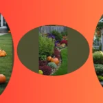 Seasonal Splendor: 15 Unforgettable Fall Garden Concepts