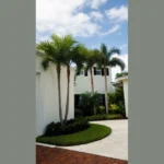 Sunny Delights: 15 Florida Landscaping Ideas for Your Backyard Oasis