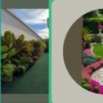 Botanical Bliss: 15 Indoor House Plants to Brighten Your Home