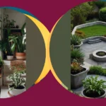 Green Oasis: Discover 15 Air-Purifying House Plants for a Healthier Home