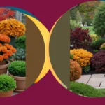 Revamp Your Outdoor Space: 15 Must-Try Fall Garden Ideas