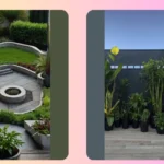 15 House Plants to Elevate Your Indoor Decor Game