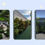 Unleash Your Stylish Side with These 15 Aesthetic Indoor Plants