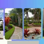 Lush Florida Landscaping Ideas to Transform Your South Frontyards