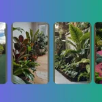 Breathe Fresh with These 15 Air-Purifying House Plants for Indoor Bliss