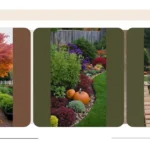 Harvest Happiness: 15 Fall Garden Ideas for Vegetables and Aesthetics