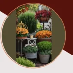 Embrace the Autumn: 15 Fall Garden Ideas for a Veggie Wonderland