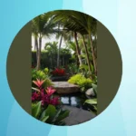 How to Turn Your Backyard into a Tropical Paradise**  
**