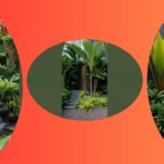 Transform Your Home with These 15 Colorful Tropical Landscaping Ideas**  
**