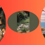 Unveil the Charm: 15 Beautiful Outdoor Location Ideas