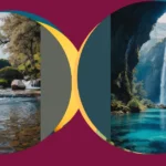 Your Guide to 15 Breathtaking Wallpaper Ideas from Around the Globe