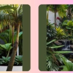 Unleash the Beauty of Your Home with These 15 Tropical Landscaping Tips