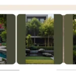 Spruce Up Your Space: 15 Landscaping Ideas for the Perfect South Florida Combo