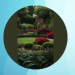 Small Wonders: Backyards That Turn Heads!