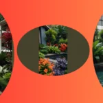 Patio Paradise: 15 Small Tropical Garden Ideas to Elevate Your Outdoor Space