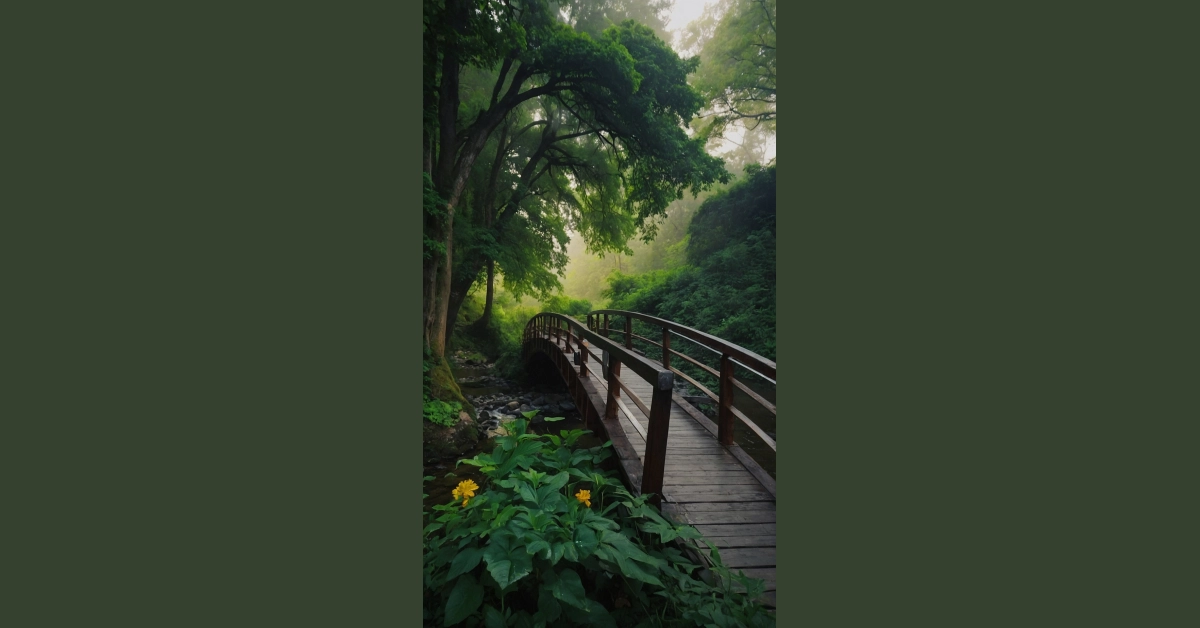 Discovering Delight: 15 Beautiful Bridges That Capture the Eye ...