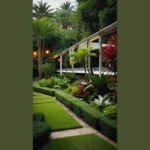 Fresh Looks: 15 Small Tropical Garden Ideas for Backyards in the UK