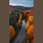 Creative Captures: 15 Enchanting Autumn Landscape Ideas You Must Try