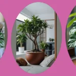 “Indoor Plant Paradise: Top 15 Green Companions for Your Living Spaces”