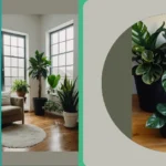“Green Is the New Black: 15 Indoor Plants to Elevate Your Home Decor”
